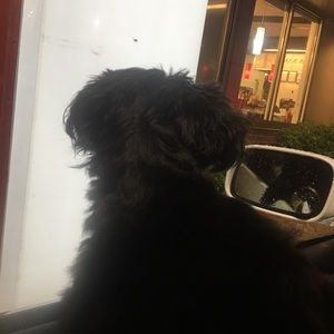 Meet your Posher, Matt